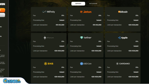 CashWin Casino Payments