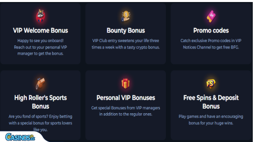 BetFury Casino Loyalität