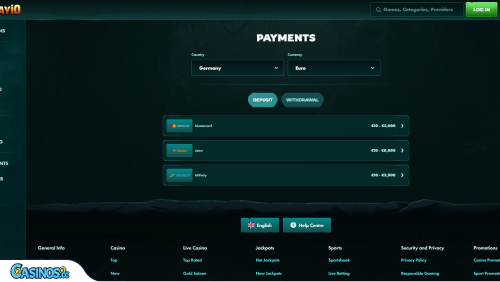 Playio Casino Maksut
