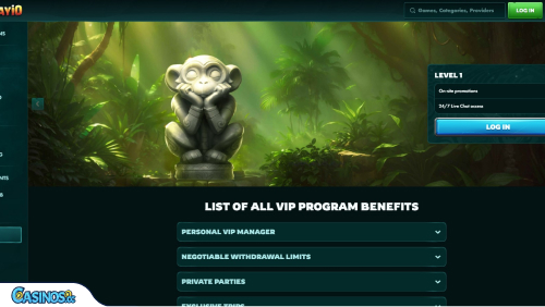 Playio Casino VIP-program