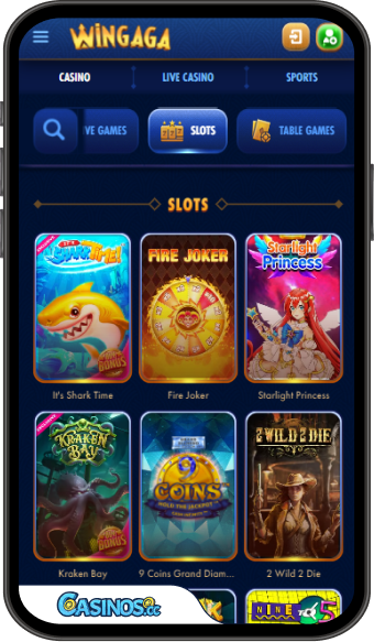 wingaga casino review