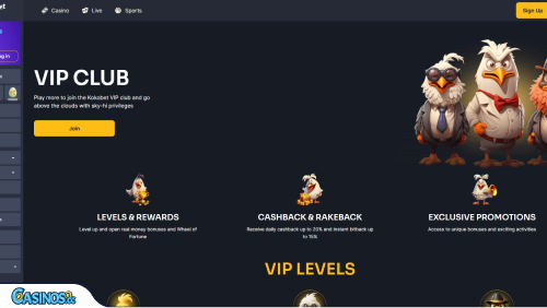 KokoBet Casino VIP program