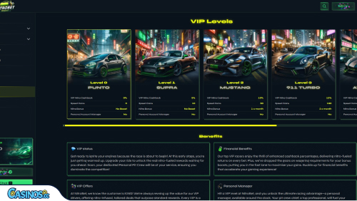 Nitrobet Casino VIP program