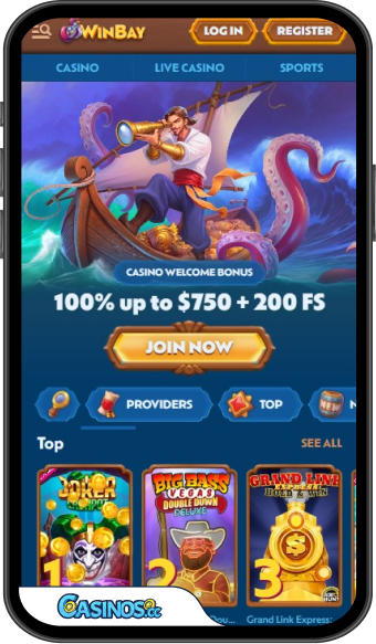 Winbay Casino Mobile App