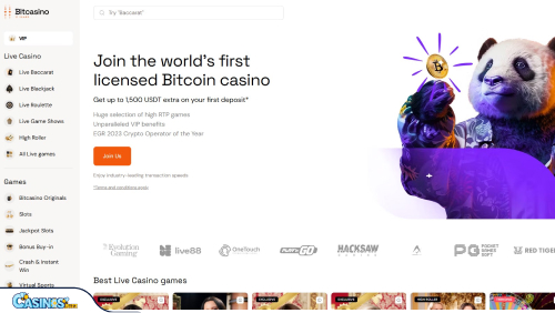 BitCasino.io Review