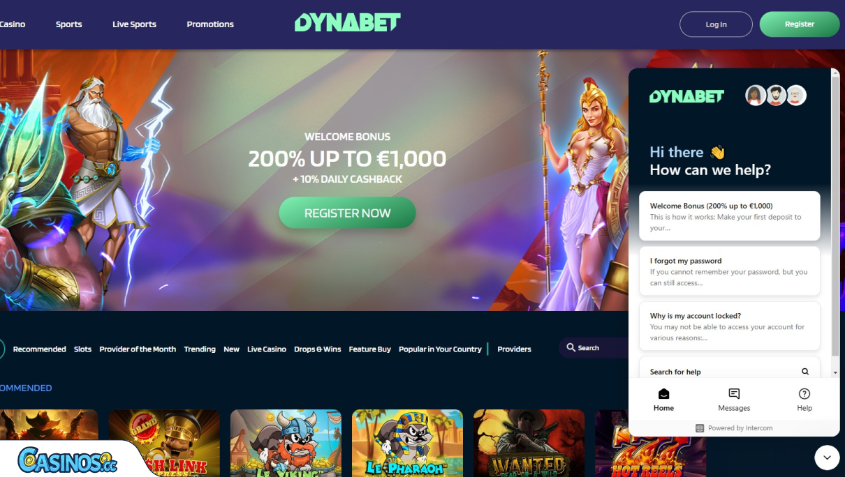 DynaBet Casino Support