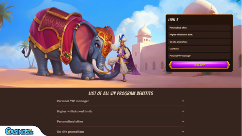 AbuKing Casino Vip Program