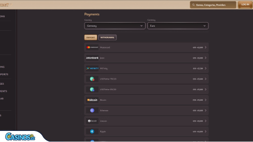 ViciBet Casino Payments