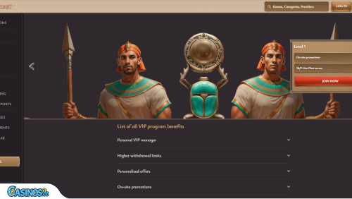 ViciBet Casino VIP program