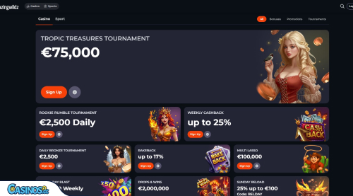 BlazingWildz Casino Promotions