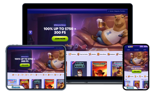 Spinbara Casino Review
