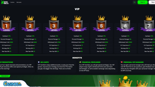 SpinMills Casino VIP program