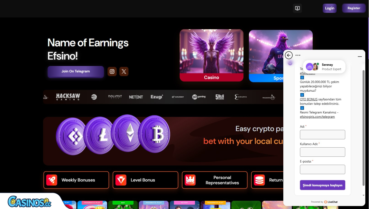 Efsino Casino Support