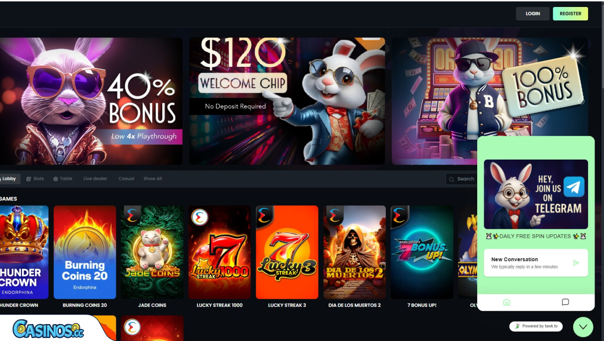 Slotbunny Casino Support