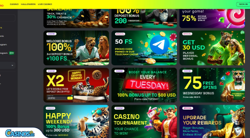 BetPrimeiro Casino Promotions