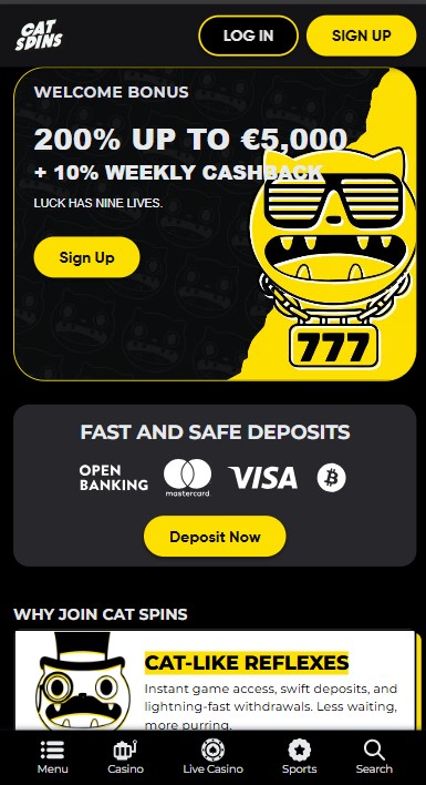 Cat Spins Casino Lobby