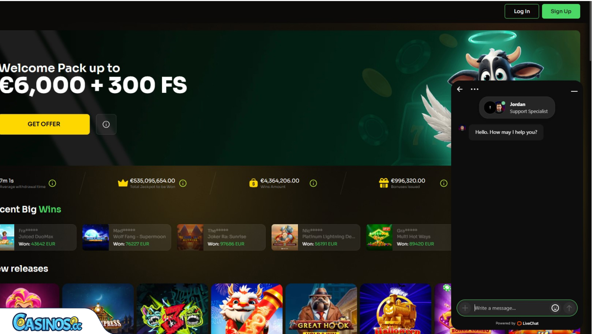 Υποστήριξη του Holyluck Καζίνο