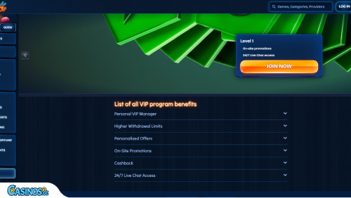 DudeSpin VIP Program Interface