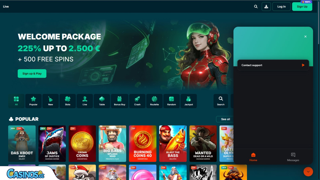 Bet4Star Casino Support