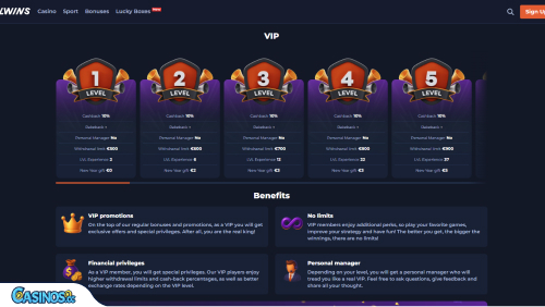 Velwins Casino VIP program