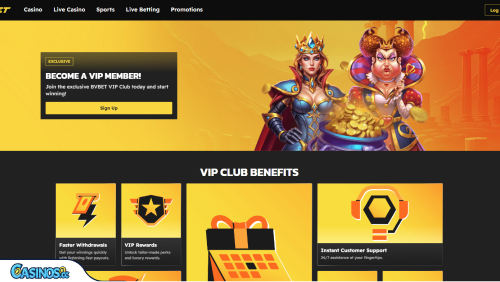 BVBet Casino VIP program