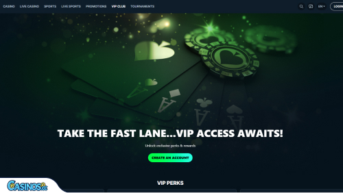 Go4Casino VIP program