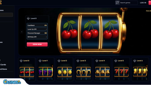 TheSlotz Casino VIP program