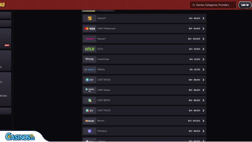 Wintino Casino Payments