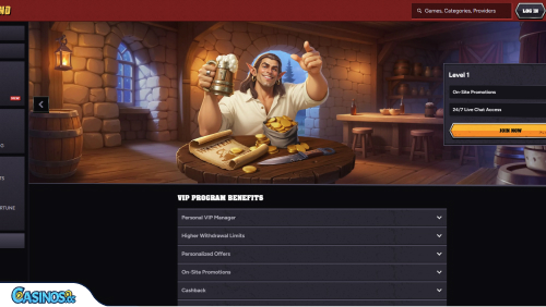 Wintino Casino VIP program