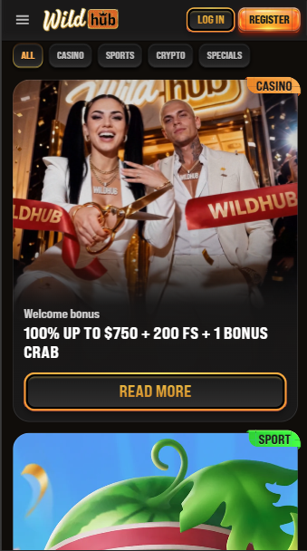 WildHub Casino Bonuses
