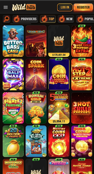 WildHub Casino Games