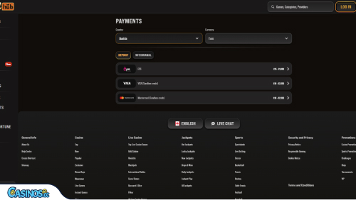 WildHub Casino Payments