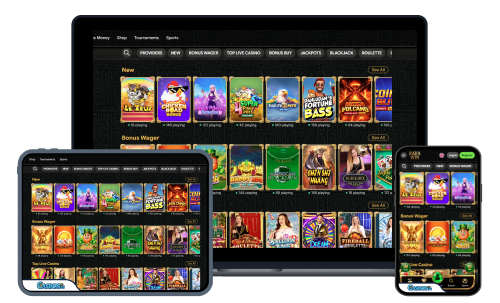 RaraWin Casino Review